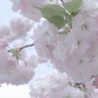 筠连福瑞交流群